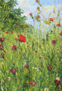 A variety of daisies and wild flowers in dark pinks, reds and blues among grasses and stems, buds and seed heads. A pale blue, clouded sky and a suggestion of a large tree behind.