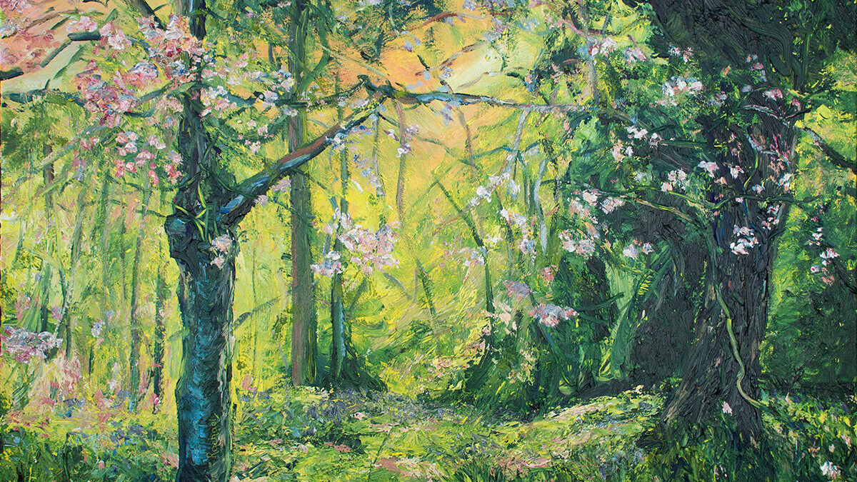 A forest scene with warm, glowing light behind, leading to misty greens, vertical growth, gnarled tree forms and stretching branches in the foreground, yellows, greens, pinks and purples fill the forest floor, whilst pink blossoms softly spread across the whole scene.